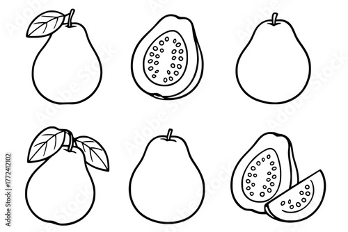 Illustration of 6 Water Apples, outline version