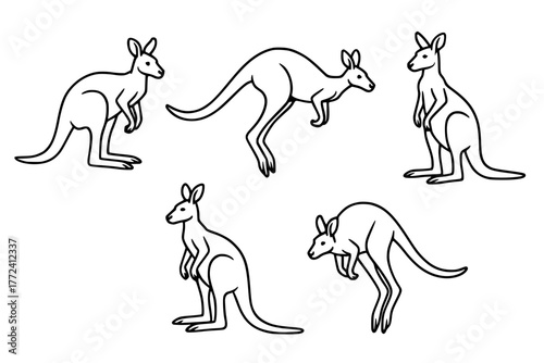 Illustration of 6 Kangaroos, outline version