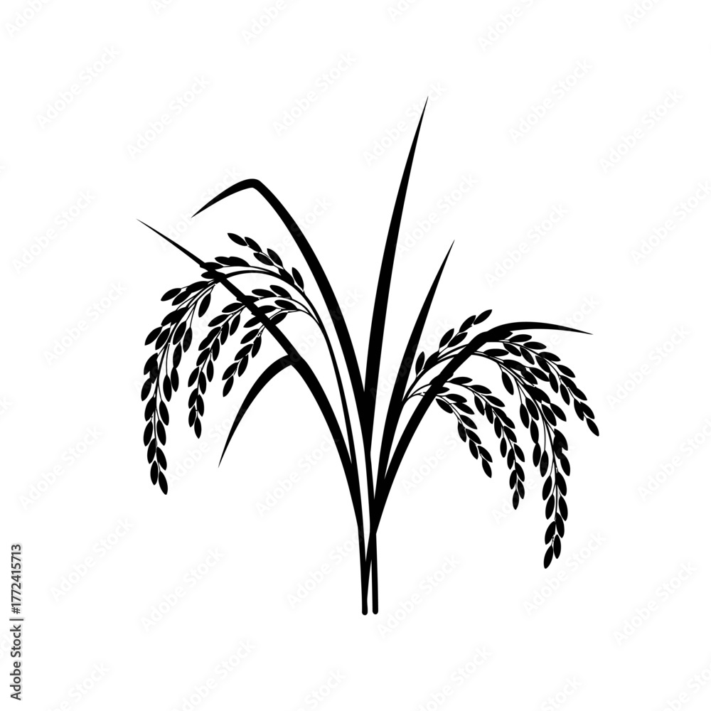 Obraz premium Palm Grass Plant Line Illustration