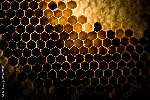 Close up of Honeycomb on black background.
