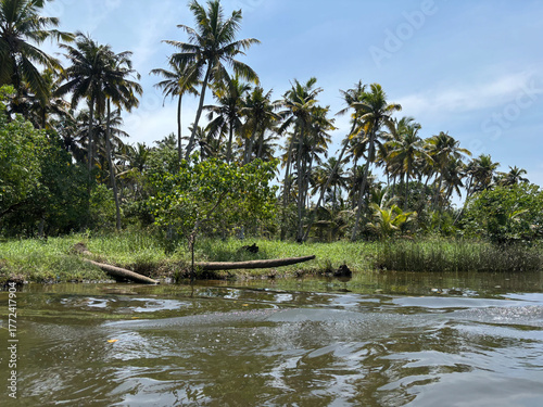 kerala god's own country