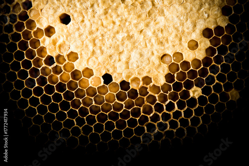 Close up of Honeycomb on black background.