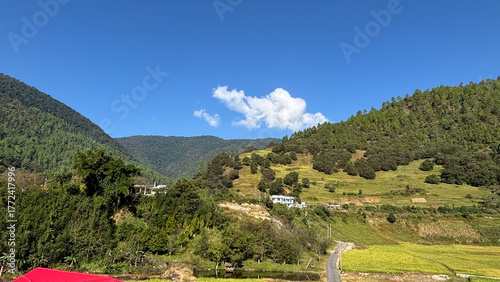 kerala god's own country