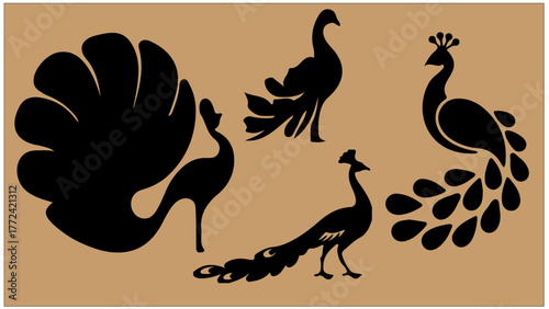 Peacock Bird Displaying Its Magnificent Tail