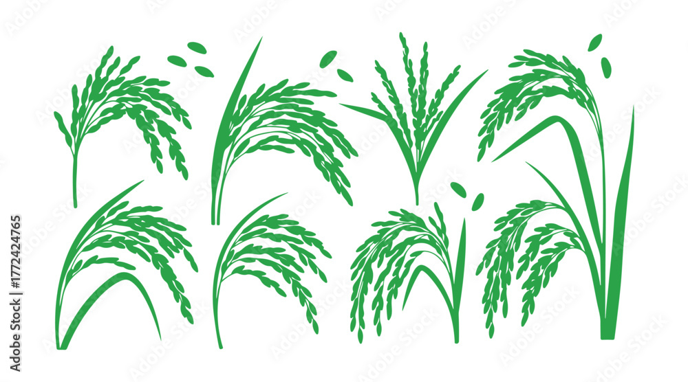 Obraz premium Green silhouette artwork showcasing rice ears