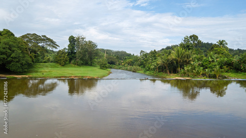 River stream near the rainforest jungle in Malaysia.
