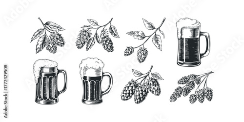 Hand Drawn Collection of Hop Cones and Frothy Beer Mugs