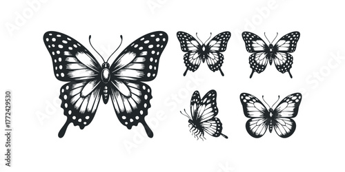 Collection of Black and White Butterfly Silhouettes