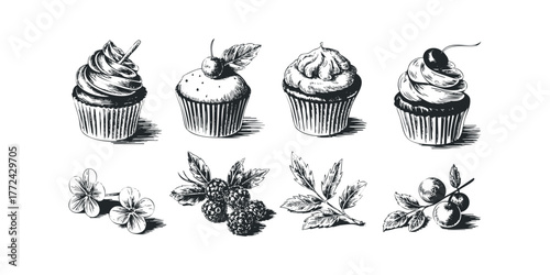 Hand Drawn Cupcakes and Berries Collection