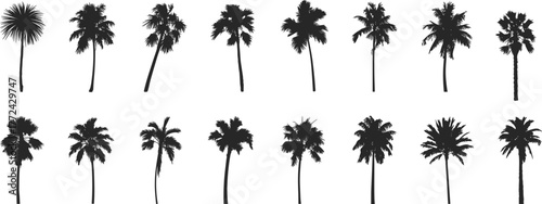Flat vector silhouette set of 16 palm trees, black tropical tree shapes with varied trunks, fronds, isolated for beach, design use