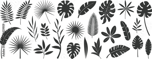 Flat vector silhouette set of tropical botanical leaves, black exotic foliage including monstera, palm, banana, fern, isolated for design