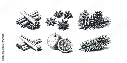 Sketch of Spices and Pine Sprigs for Winter Beverages