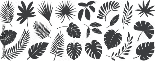Flat vector silhouette set of tropical leaves, black exotic leaf shapes including monstera, palm, banana, fern, isolated for design use