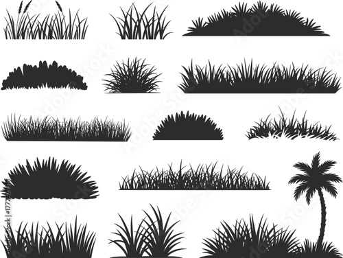 Flat vector silhouette set of grass clumps and palm tree, black botanical shapes for nature, landscape, tropical, design, illustration