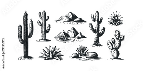 Group of desert flora and arid landscape elements