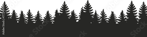 Flat vector silhouette of conifer forest trees, black pine and fir shapes with uneven skyline, isolated for nature, design, illustration