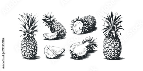 Collection of five hand-drawn pineapples in various forms