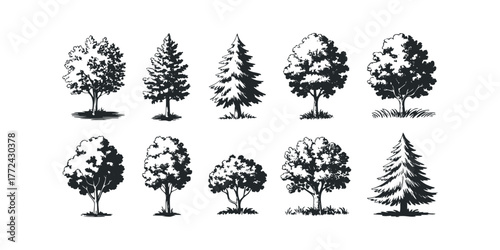 Collection of Deciduous and Coniferous Tree Silhouettes