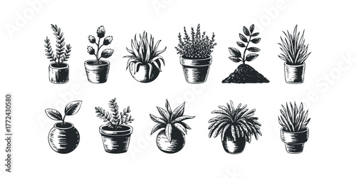 Collection of Potted Plants in Sketch Style