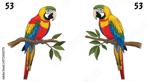 Two vibrantly colored macaws perch on branches, each marked with the number 53.