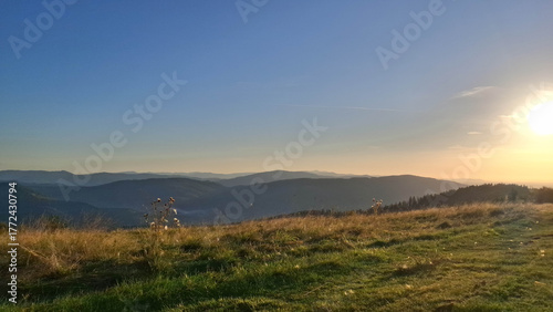 Fototapeta Naklejka Na Ścianę i Meble -  Meadow on a Blotnia Mountain. Beskides.