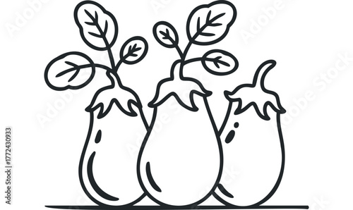 Three eggplants with leaves simple outline
