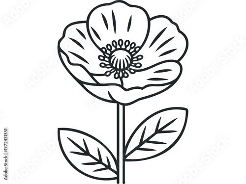 Simple line drawing of a poppy flower with leaves
