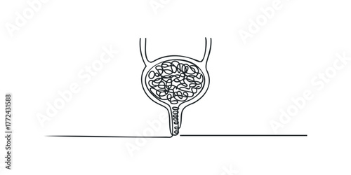 Abstract continuous line drawing of a human bladder with internal structure