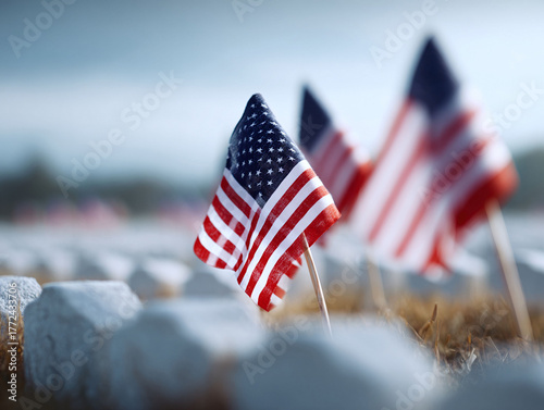 Solemn memorial scene featuring miniature flags adorning gravesites. Evokes remembrance, patriotism, and sacrifice. Ideal for Memorial Day or Veterans Day themes.