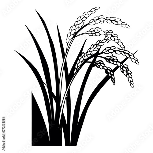 Black and White Rice Plant Vector Illustration. Agricultural Grain Crop Design.