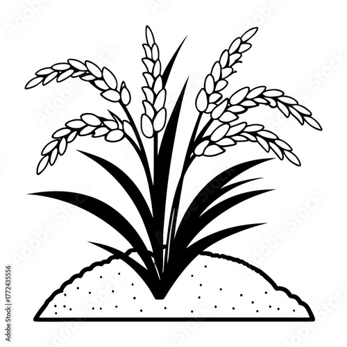Black and White Rice Plant Vector Illustration. Agricultural Grain Crop Design.