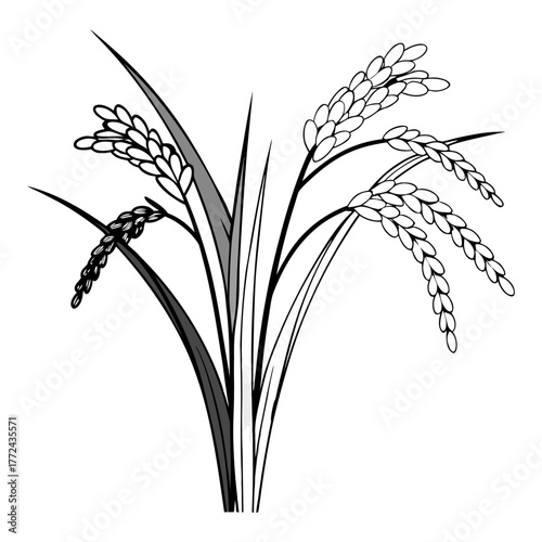 Black and White Rice Plant Vector Illustration. Agricultural Grain Crop Design.