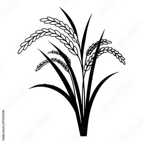 Black and White Rice Plant Vector Illustration. Agricultural Grain Crop Design.