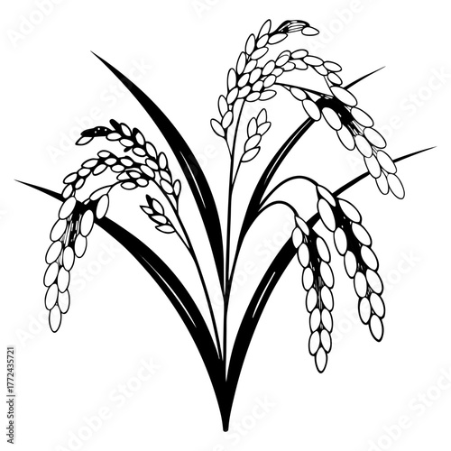 Black and White Rice Plant Vector Illustration. Agricultural Grain Crop Design.