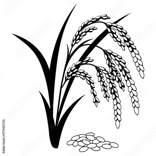 Black and White Rice Plant Vector Illustration. Agricultural Grain Crop Design.