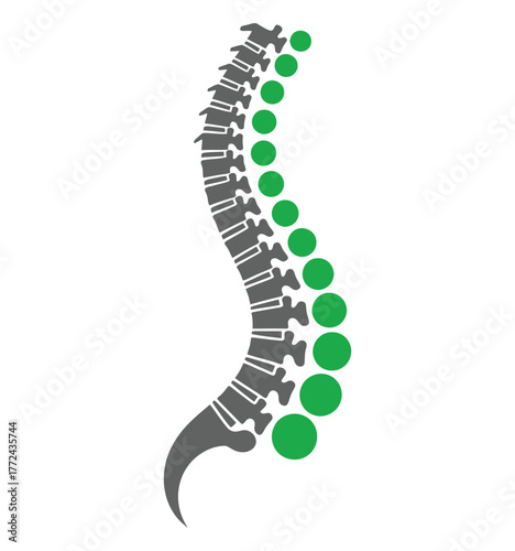 The human spine is depicted with vertebral segments and green discs.