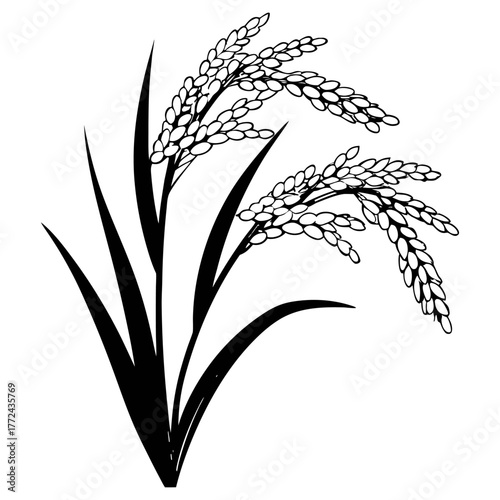 Black and White Rice Plant Vector Illustration. Agricultural Grain Crop Design.