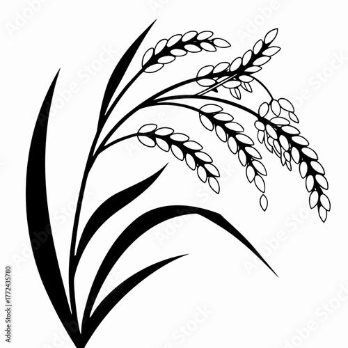 Black and White Rice Plant Vector Illustration. Agricultural Grain Crop Design.