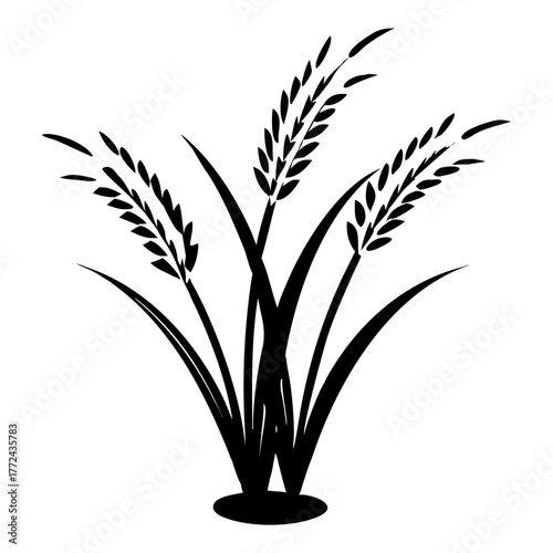 Black and White Rice Plant Vector Illustration. Agricultural Grain Crop Design.