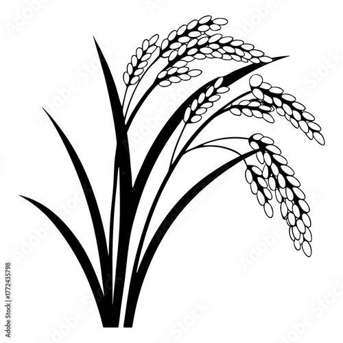 Black and White Rice Plant Vector Illustration. Agricultural Grain Crop Design.