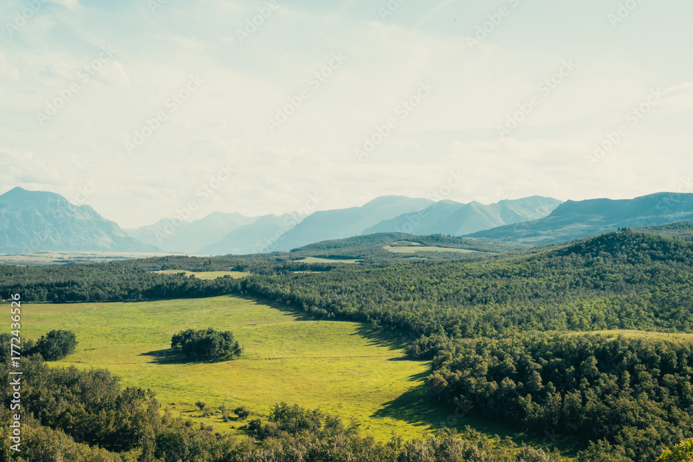 Obraz premium Picturesque mountain landscape with forest and meadow under a blue sky.