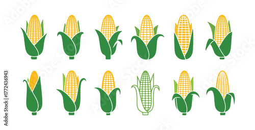 Corn graphics. Designed for both web and mobile platforms. Vector illustration on a clear background.