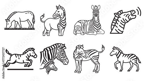 A collection of eight black  line art illustrations of zebras in various poses and actions.