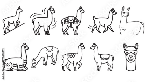 Black and white line art illustrations of various llamas in different poses and activities.