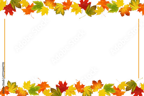 Autumn maple colorful leave...