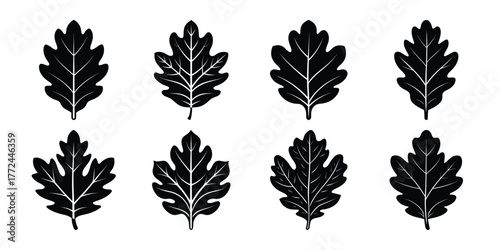 Collection of eight detailed black oak leaves in a silhouette style