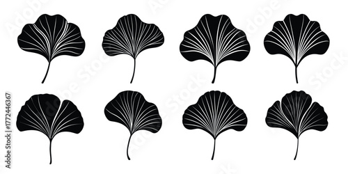 Collection of eight detailed black ginkgo leaf silhouettes on a white background silhouette
