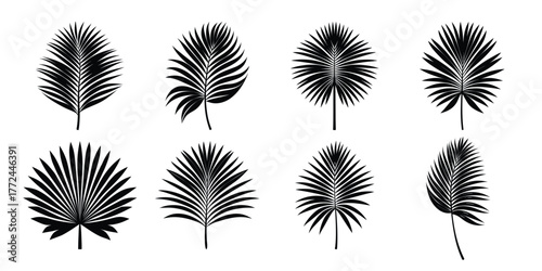 Collection of eight black palm leaf silhouettes on white background