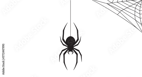 Black spider hanging from a silk thread with a spiderweb