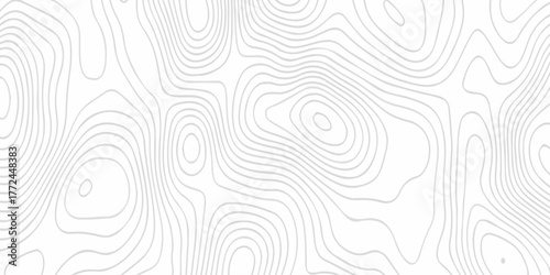 Contour abstract map relief land outline. Topographic map patterns. White wave paper curved reliefs abstract background. Background of the topography map. Abstract pattern with lines.	